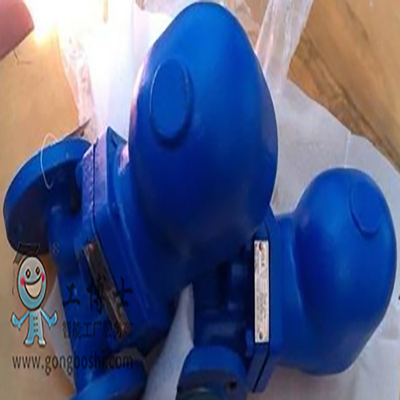 صمامات فحص قرص Spirax Sarco وصمام فحص صحي مع فخ مضخة