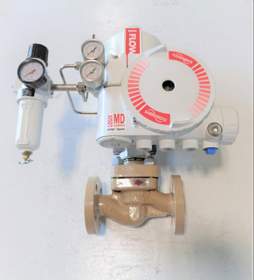 Wuzhong Globe Valve مع Flowserve 3200MD Valve Positioner Fisher 67CFR Filter Regulator