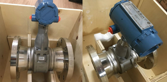 مقياس تدفق من سلسلة إميرسون روزمنت 8800/8750w الأصلي