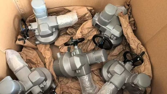 الصمامات الكهربائية مع AUMA SQ10.2 ومرفق الصمام F10 F12 Auma SQ SQR محرك الدوران الكهربائي SQ10.2 SQ07.2 SQ12.2 SQ14.2 SQ05.2 للخدمة المفتوحة القريبة