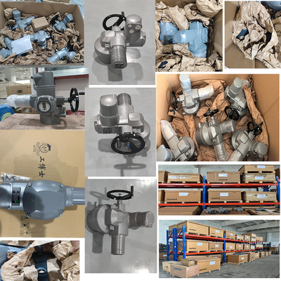 AUMA Electric Linear Actuators Valve Actuators SA and LE  With AC AM Auma Controls for Chinese High Temperature Control Valve