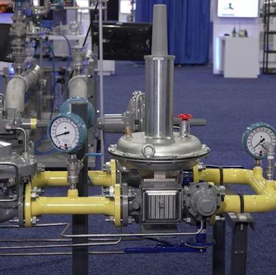 منظم ضغط الغاز الطبيعي منخفض الضغط فيشر LS200 LS220 LS250