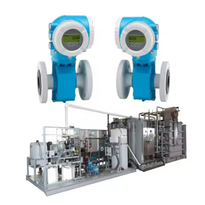 Endress+Hauser Proline Promag 50P 53P مقياس التدفق الكهرومغناطيسي DN15-DN600