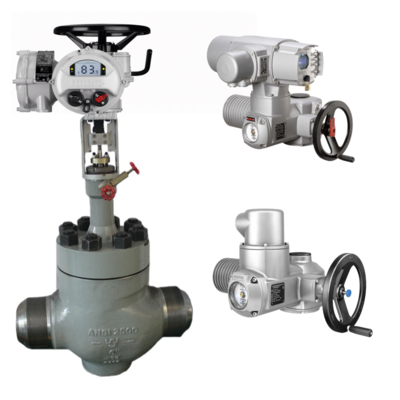 ROTORK Electric Valve Actuator IQ10 IQ20 IQ35 IQ40 IQ70 IQ90 IQ95 IQ12 IQ25 IQ18 With Chinese ball valve be used in water treatment