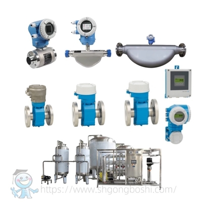 مقياس التدفق الصحي E+H Proline Promag P 300 P 500 Endress Hauser مقياس تدفق كهرومغناطيسي بدرجة الغذاء