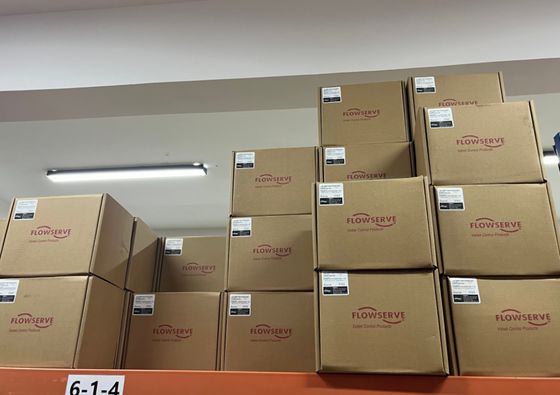 صمام كروي تحكم صيني مع موضع صمام Flowserve Logix 3800 PMV D3 PMV P5/EP5 520MD 3200MD ومنظم Fisher 67cfr