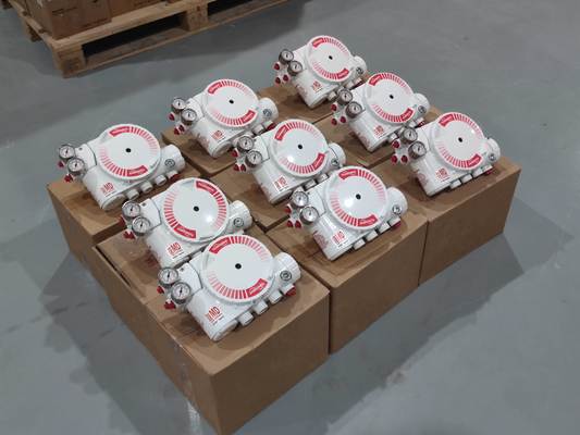 Flowserve Logix 3200 Digital Valve Positioner | Smart Valve Controller Supplier China