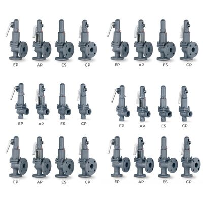 VYC صمام صناعي AIT 485 486 494 495 496 596 696 صمام تخفيف الضغط صمام أمان مفتوح بالكامل مع ربيع ضغط