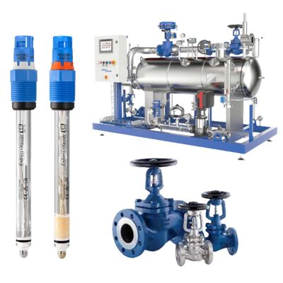 تحليل السوائل القوة القياسية Endress Hauser CPS11E-UR7AAA2 و Spiraxarco Bellow Valve BSA2T BSA3T للمياه والمياه العادمة