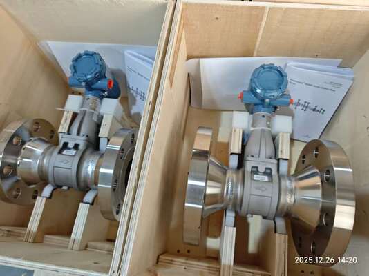 عداد تدفق الإميرسون الصناعي للدفق السائل 8800 سلسلة روزماونت ذكي عداد تدفق الغاز