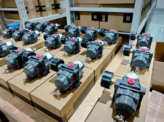 صمام كروي تحكم صيني مع موضع صمام Flowserve Logix 3800 PMV D3 PMV P5/EP5 520MD 3200MD ومنظم Fisher 67cfr