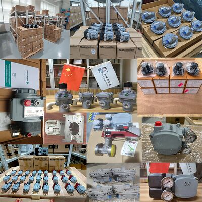 صمام التحكم الهوائي الصيني مع SVI1000G SVI1000 PR G IM Masoneilan Valve Positioner SVY و Asco Regulator للغاز المسال