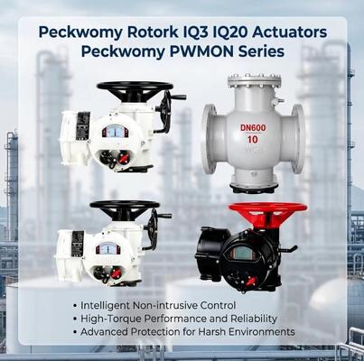 المحركات الكهربائية الكروية من سلسلة Peckwomy PWMON المقاومة للانفجار، تعرض وسائط الغاز، مشغلات Rotork IQ3 IQ20 القابلة للاستبدال