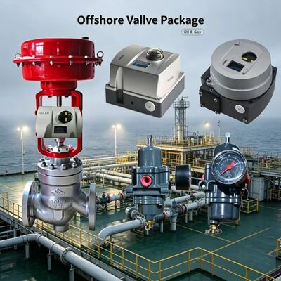 Valmet Me-sto Neles ND9000 موقف صمام التحكم مع صمام خفض ضغط الفلتر Fi-sher 67CFR
