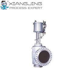 500M VeCTor M Trim Globe Valve for KOSO