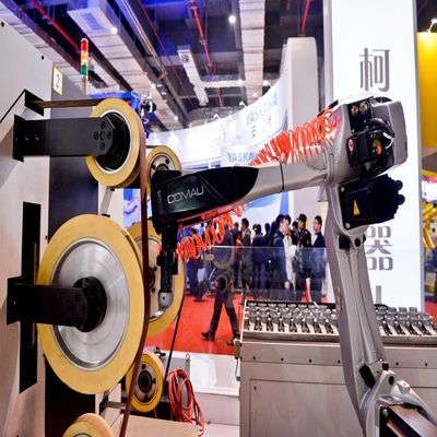 6 محور ذراع روبوت صناعي NJ-16-3.1 متوسط ​​الحمولة الصناعية AGV Robot