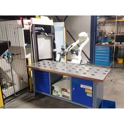 6 محور الروبوت الذراع Palletizer RS020N لتحويل حاويات التداول الأوتوماتيكية كروبوت حاويات
