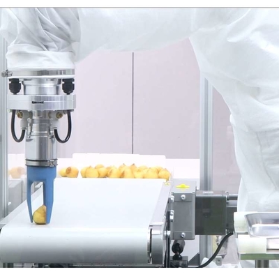 ذراع روبوت صناعي صغير 6 محور VS-050/060 مع CNGBS Robot Gripper كروبوت عالمي
